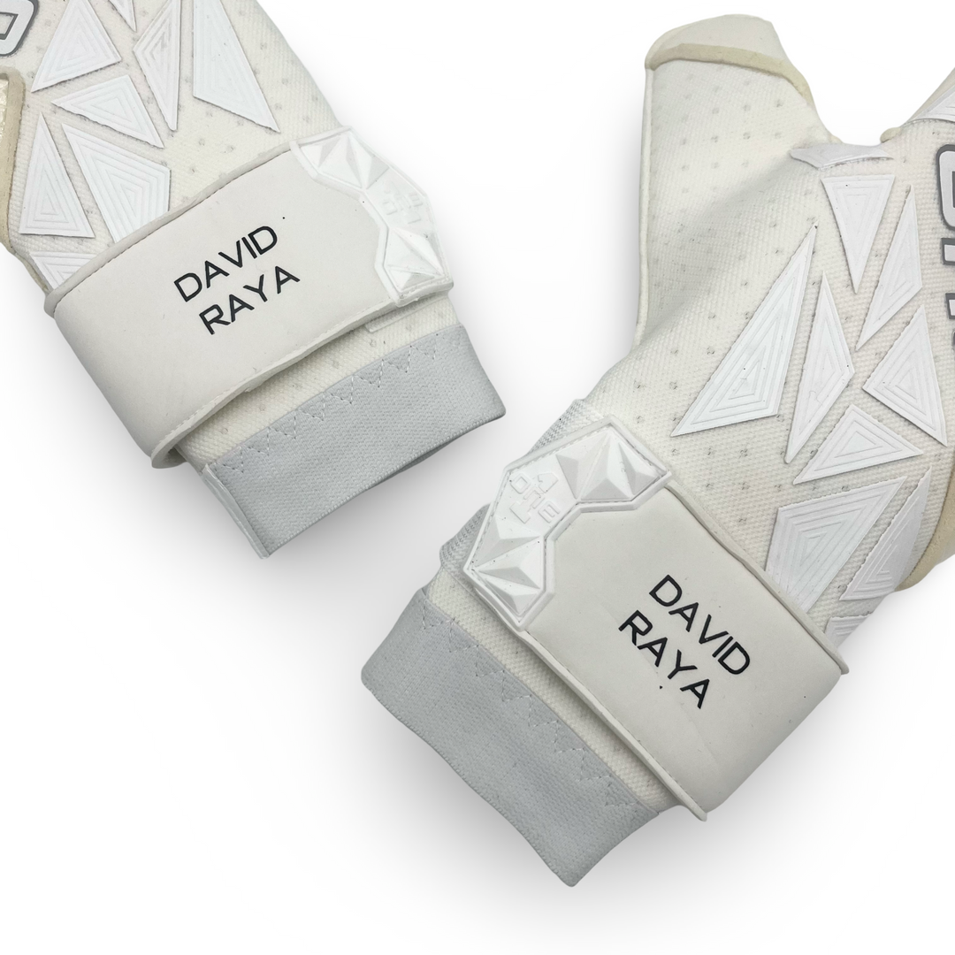 David Raya Match Issued ONE 3.0 Vision Type-R Goalkeeper Gloves 2023/24