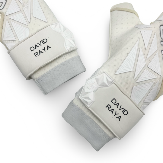 David Raya Match Issued ONE 3.0 Vision Type-R Goalkeeper Gloves 2023/24