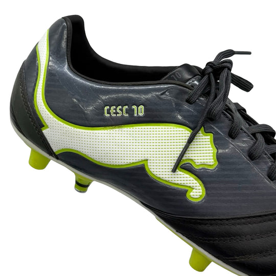 Cesc Fàbregas | Match-Worn Boots | 2011/12 | Spain