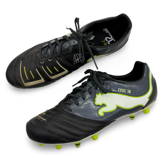 Cesc Fàbregas | Match-Worn Boots | 2011/12 | Spain