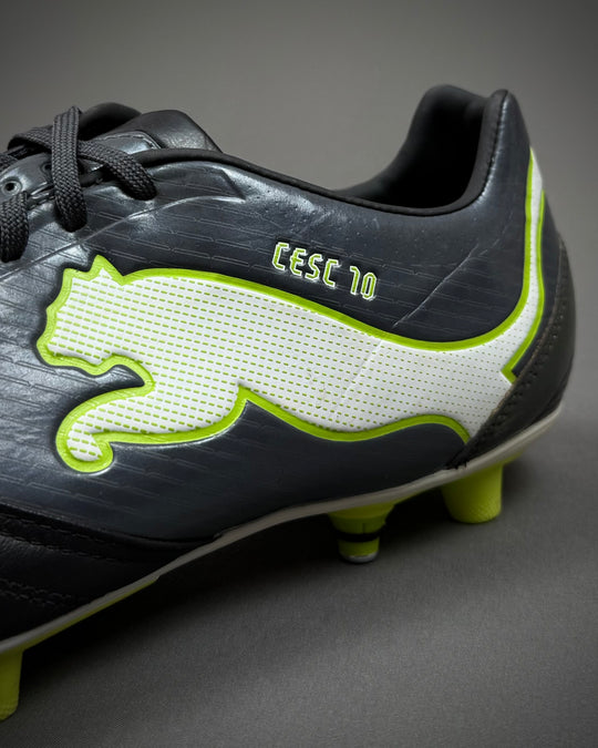 Cesc Fàbregas | Match-Worn Boots | 2011/12 | Spain