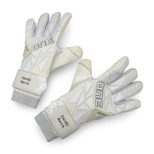 David Raya Match Issued ONE 3.0 Vision Type-R Goalkeeper Gloves 2023/24