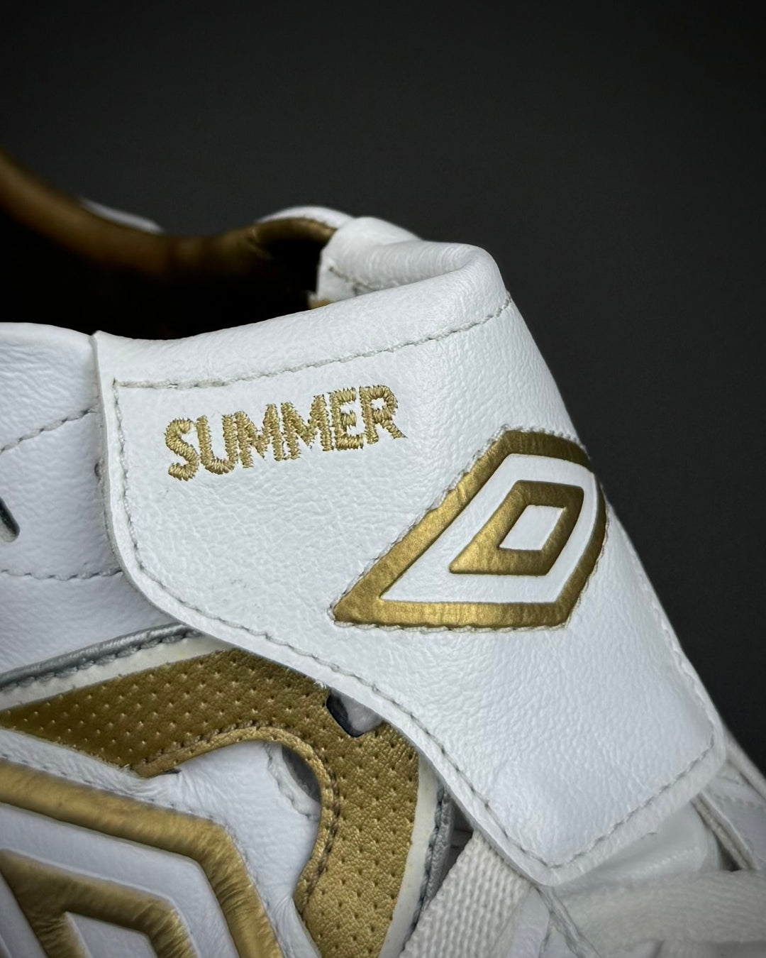 John Terry | Match-Issued Boots | 2009/10 | England vs Hungary