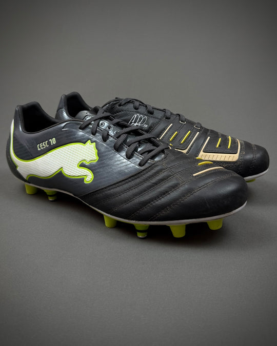 Cesc Fàbregas | Match-Worn Boots | 2011/12 | Spain