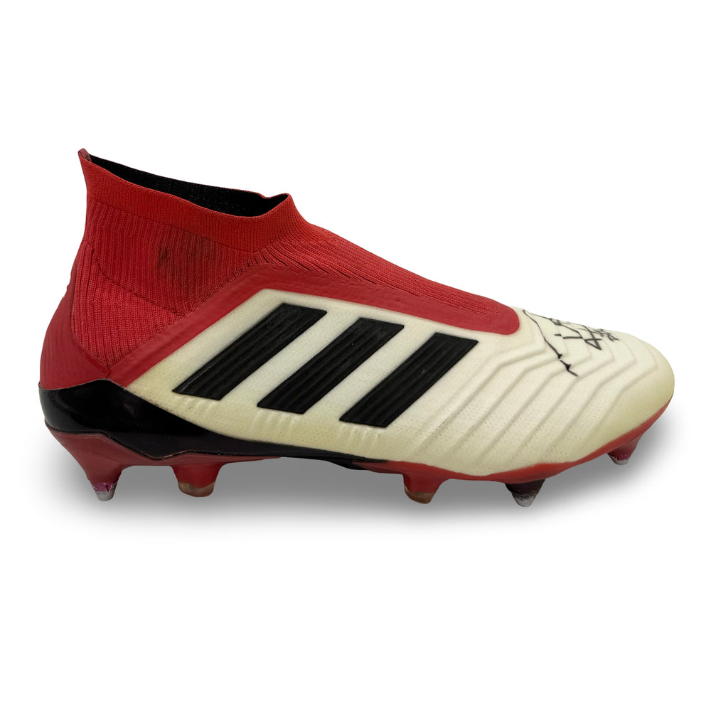 Dele Alli | Match-Worn Boots | Dual Hand-Signed | Photo-Matched | 2017/18 | Tottenham & England