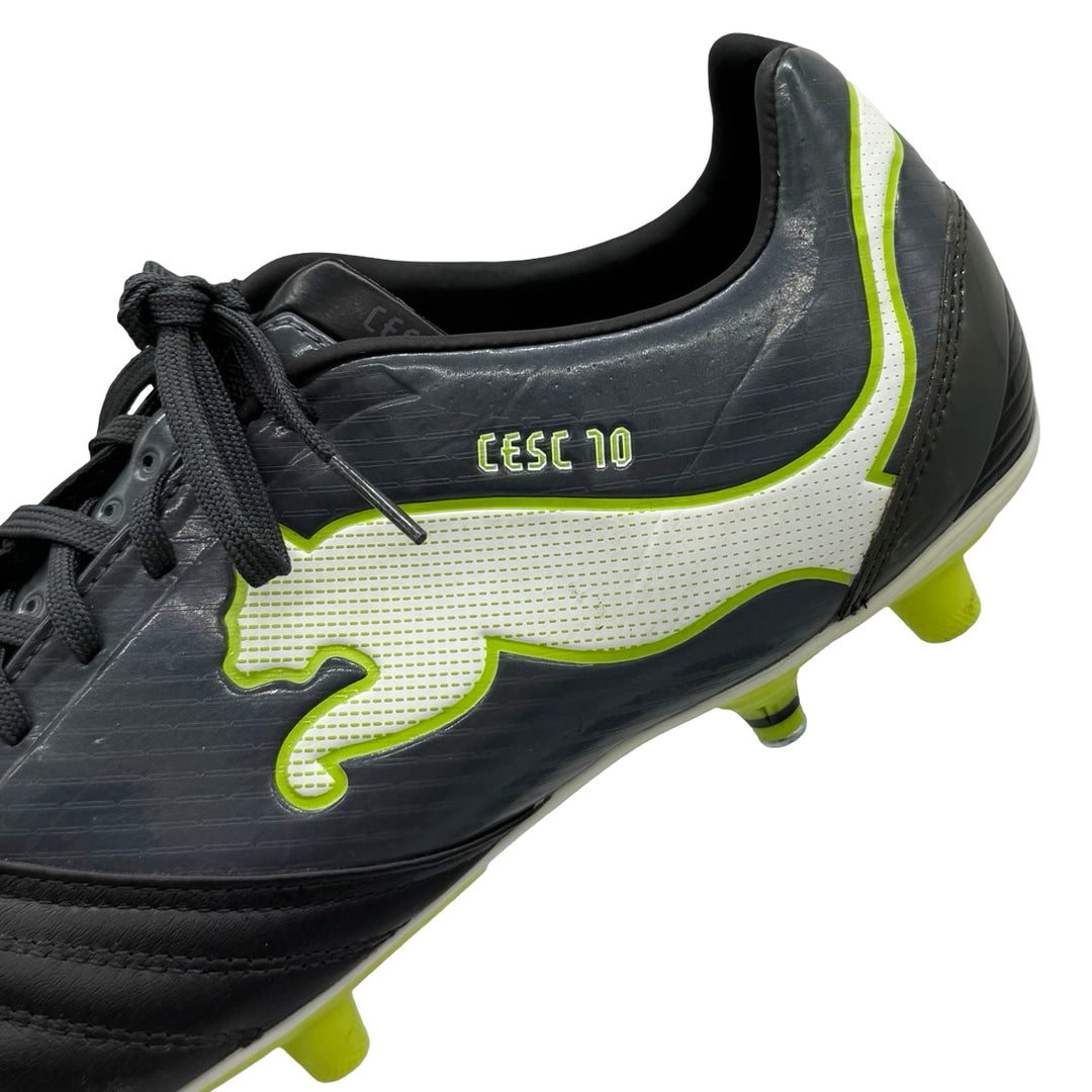 Cesc Fàbregas | Match-Worn Boots | 2011/12 | Spain