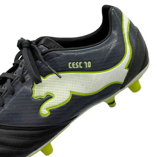 Cesc Fàbregas | Match-Worn Boots | 2011/12 | Spain