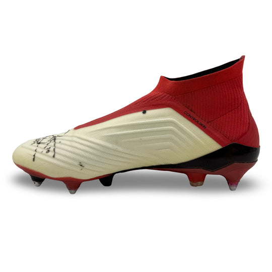 Dele Alli | Match-Worn Boots | Dual Hand-Signed | Photo-Matched | 2017/18 | Tottenham & England