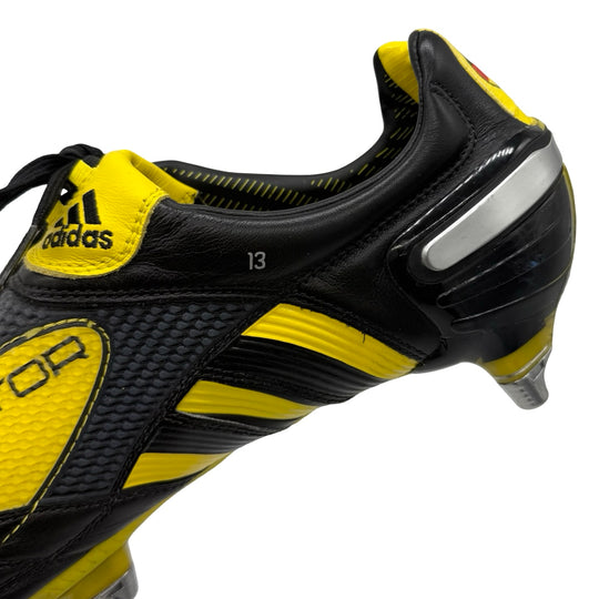 Michael Ballack Match Issued Adidas Predator X - 2010 FIFA World Cup