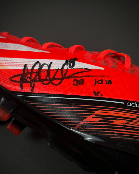 Jermain Defoe | Match-Issued Boots | 2013/14 | Tottenham & England